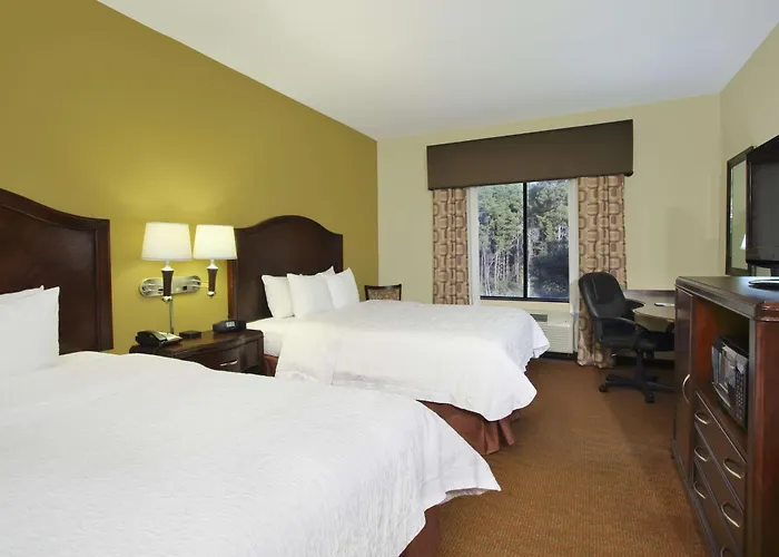 Hampton Inn & Suites Conroe I 45 North